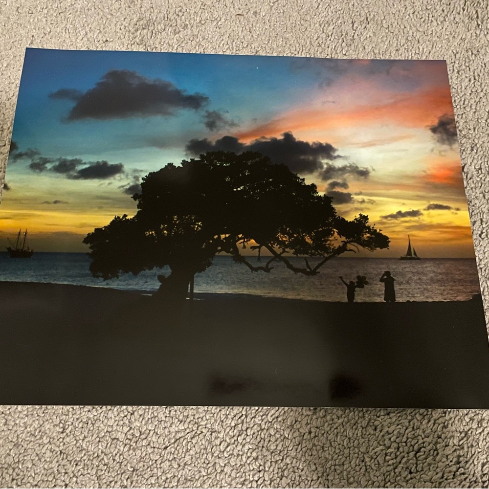 8” x 10” Aruba Divi Divi Tree Print